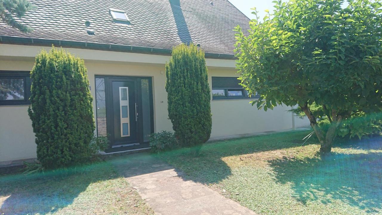 Logement Entier: Route Des Vins.Wintzenheim Apartment Bagian luar foto