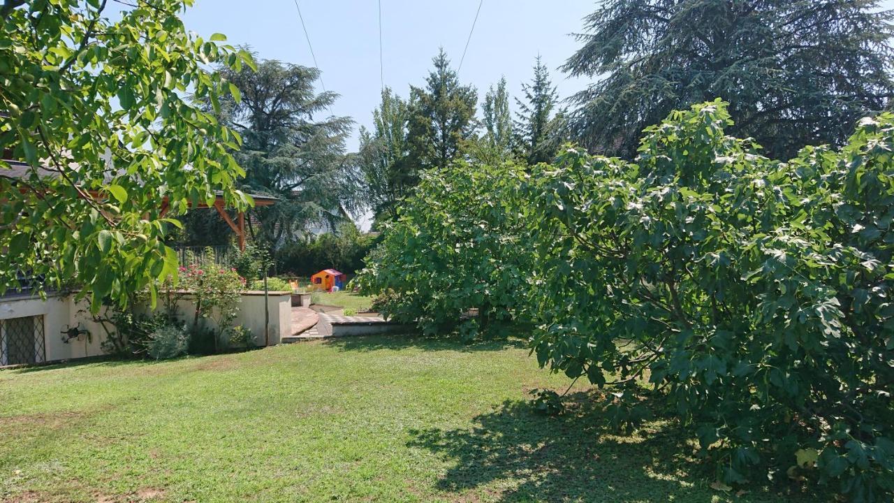 Logement Entier: Route Des Vins.Wintzenheim Apartment Bagian luar foto